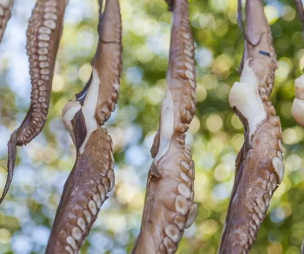 Perfect Santorini 2 Bedrooms Michelangelo * أويا