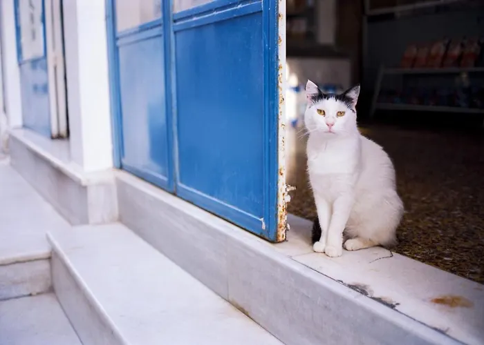 Perfect Santorini 2 Bedrooms Michelangelo فيلة *